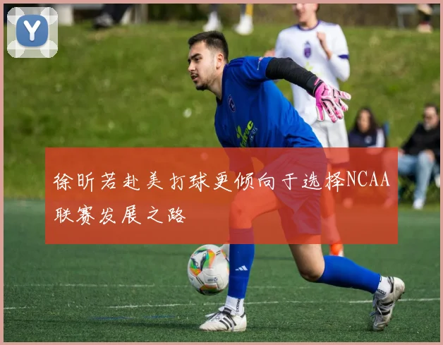 徐昕若赴美打球更倾向于选择NCAA联赛发展之路