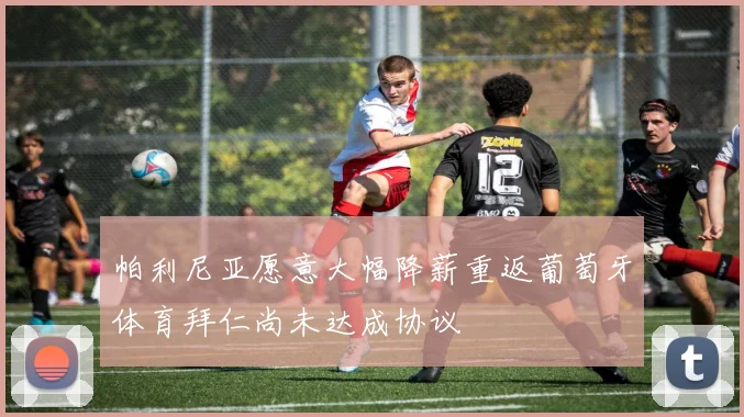 帕利尼亚愿意大幅降薪重返葡萄牙体育拜仁尚未达成协议
