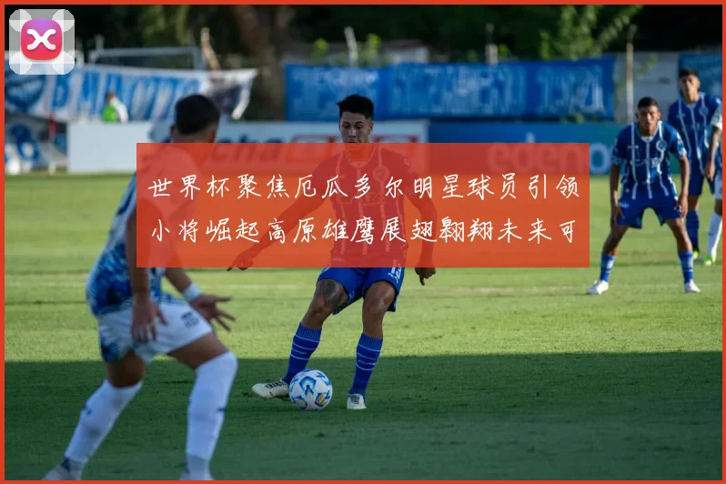 世界杯聚焦厄瓜多尔明星球员引领小将崛起高原雄鹰展翅翱翔未来可期